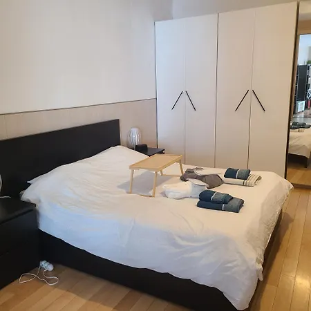 Apartment Loft Avec Jacuzzi Et Billard - Internet - Entree Autonome Brest