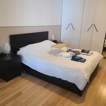Loft Avec Jacuzzi Et Billard - Internet - Entree Autonome Apartment *