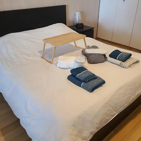 Loft Avec Jacuzzi Et Billard - Internet - Entree Autonome * Brest